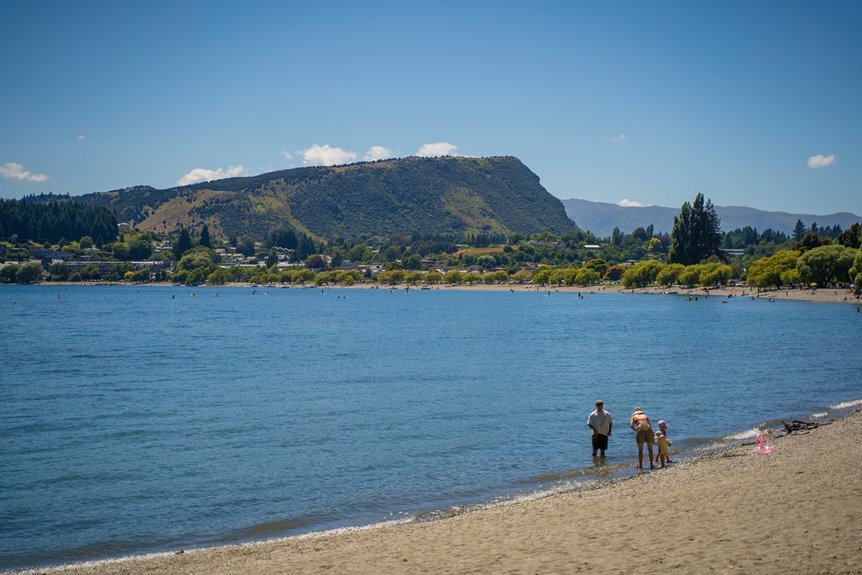 new zealand family net worth earnings